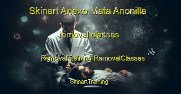 Skinart Anexo Mata Anonilla removal classes | #RemovalTraining #RemovalClasses #SkinartTraining-Mexico