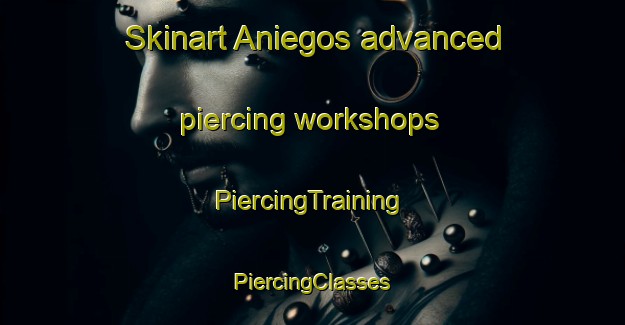 Skinart Aniegos advanced piercing workshops | #PiercingTraining #PiercingClasses #SkinartTraining-Mexico