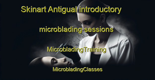 Skinart Antigual introductory microblading sessions | #MicrobladingTraining #MicrobladingClasses #SkinartTraining-Mexico