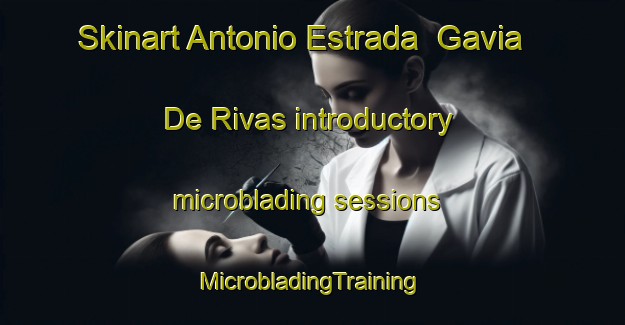 Skinart Antonio Estrada  Gavia De Rivas introductory microblading sessions | #MicrobladingTraining #MicrobladingClasses #SkinartTraining-Mexico