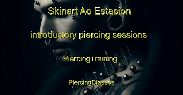 Skinart Ao Estacion introductory piercing sessions | #PiercingTraining #PiercingClasses #SkinartTraining-Mexico