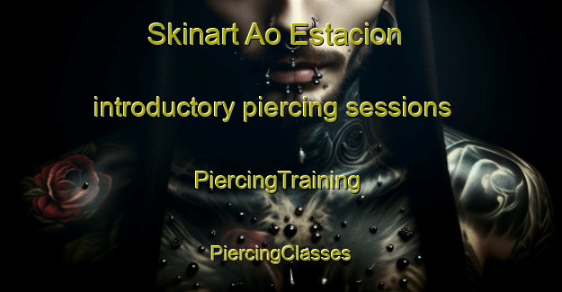 Skinart Ao Estacion introductory piercing sessions | #PiercingTraining #PiercingClasses #SkinartTraining-Mexico