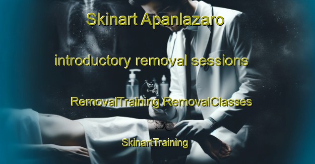 Skinart Apanlazaro introductory removal sessions | #RemovalTraining #RemovalClasses #SkinartTraining-Mexico