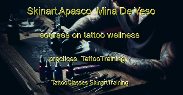 Skinart Apasco  Mina De Yeso courses on tattoo wellness practices | #TattooTraining #TattooClasses #SkinartTraining-Mexico