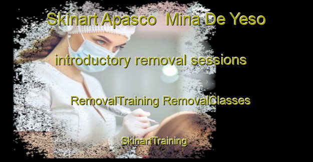 Skinart Apasco  Mina De Yeso introductory removal sessions | #RemovalTraining #RemovalClasses #SkinartTraining-Mexico