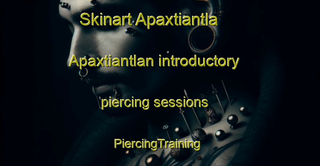 Skinart Apaxtiantla  Apaxtiantlan introductory piercing sessions | #PiercingTraining #PiercingClasses #SkinartTraining-Mexico