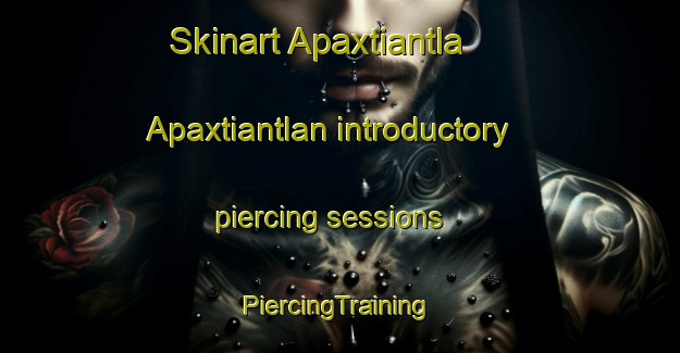 Skinart Apaxtiantla  Apaxtiantlan introductory piercing sessions | #PiercingTraining #PiercingClasses #SkinartTraining-Mexico