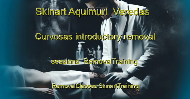 Skinart Aquimuri  Veredas Curvosas introductory removal sessions | #RemovalTraining #RemovalClasses #SkinartTraining-Mexico