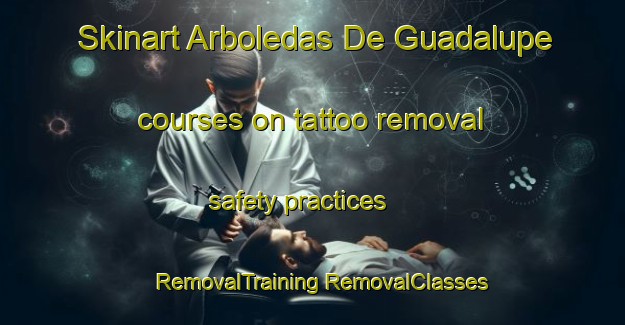 Skinart Arboledas De Guadalupe courses on tattoo removal safety practices | #RemovalTraining #RemovalClasses #SkinartTraining-Mexico