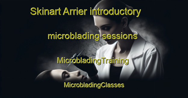 Skinart Arrier introductory microblading sessions | #MicrobladingTraining #MicrobladingClasses #SkinartTraining-Mexico