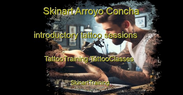 Skinart Arroyo Concha introductory tattoo sessions | #TattooTraining #TattooClasses #SkinartTraining-Mexico