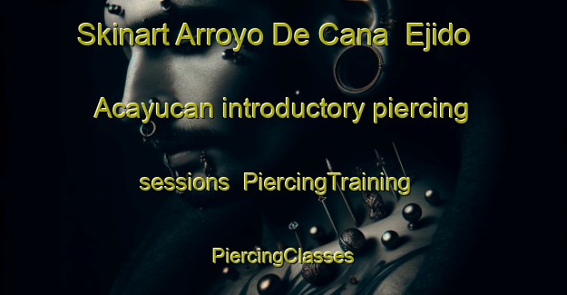 Skinart Arroyo De Cana  Ejido Acayucan introductory piercing sessions | #PiercingTraining #PiercingClasses #SkinartTraining-Mexico