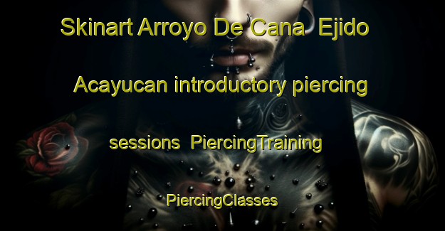 Skinart Arroyo De Cana  Ejido Acayucan introductory piercing sessions | #PiercingTraining #PiercingClasses #SkinartTraining-Mexico