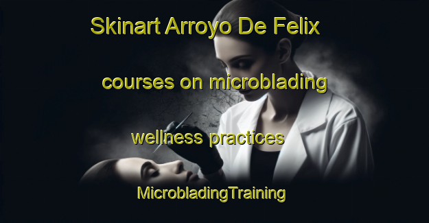 Skinart Arroyo De Felix courses on microblading wellness practices | #MicrobladingTraining #MicrobladingClasses #SkinartTraining-Mexico