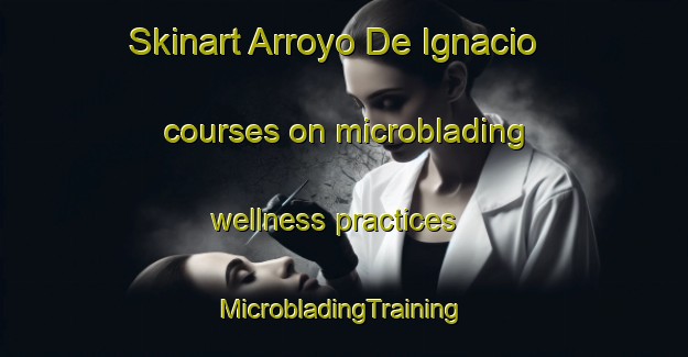 Skinart Arroyo De Ignacio courses on microblading wellness practices | #MicrobladingTraining #MicrobladingClasses #SkinartTraining-Mexico