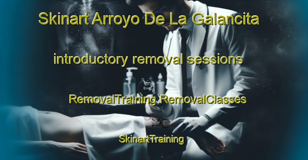 Skinart Arroyo De La Galancita introductory removal sessions | #RemovalTraining #RemovalClasses #SkinartTraining-Mexico