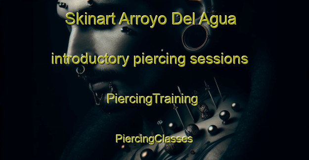 Skinart Arroyo Del Agua introductory piercing sessions | #PiercingTraining #PiercingClasses #SkinartTraining-Mexico