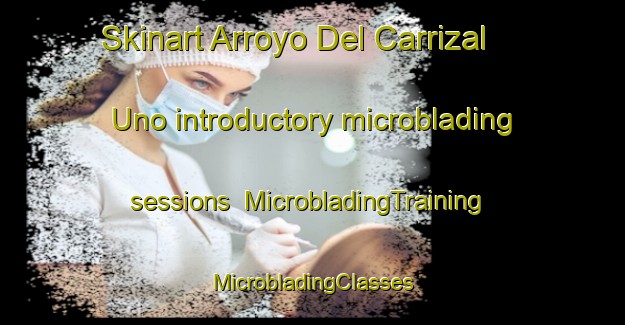 Skinart Arroyo Del Carrizal Uno introductory microblading sessions | #MicrobladingTraining #MicrobladingClasses #SkinartTraining-Mexico