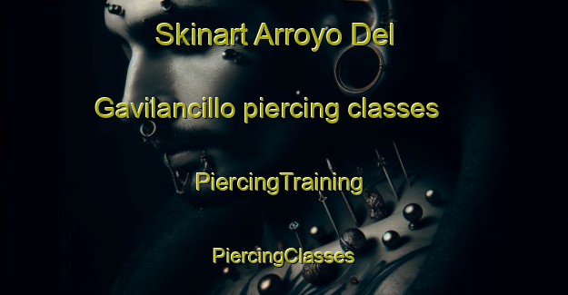 Skinart Arroyo Del Gavilancillo piercing classes | #PiercingTraining #PiercingClasses #SkinartTraining-Mexico