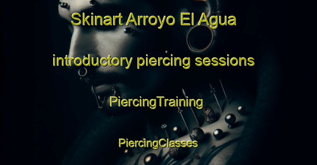 Skinart Arroyo El Agua introductory piercing sessions | #PiercingTraining #PiercingClasses #SkinartTraining-Mexico