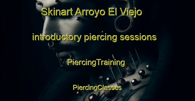 Skinart Arroyo El Viejo introductory piercing sessions | #PiercingTraining #PiercingClasses #SkinartTraining-Mexico