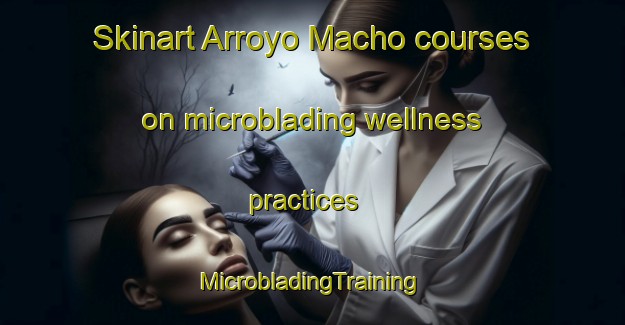 Skinart Arroyo Macho courses on microblading wellness practices | #MicrobladingTraining #MicrobladingClasses #SkinartTraining-Mexico