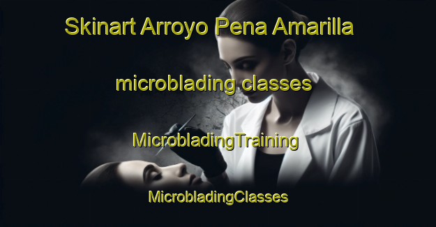 Skinart Arroyo Pena Amarilla microblading classes | #MicrobladingTraining #MicrobladingClasses #SkinartTraining-Mexico