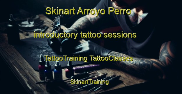 Skinart Arroyo Perro introductory tattoo sessions | #TattooTraining #TattooClasses #SkinartTraining-Mexico