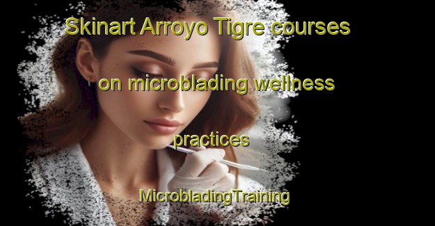 Skinart Arroyo Tigre courses on microblading wellness practices | #MicrobladingTraining #MicrobladingClasses #SkinartTraining-Mexico