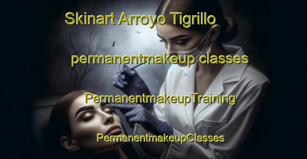 Skinart Arroyo Tigrillo permanentmakeup classes | #PermanentmakeupTraining #PermanentmakeupClasses #SkinartTraining-Mexico