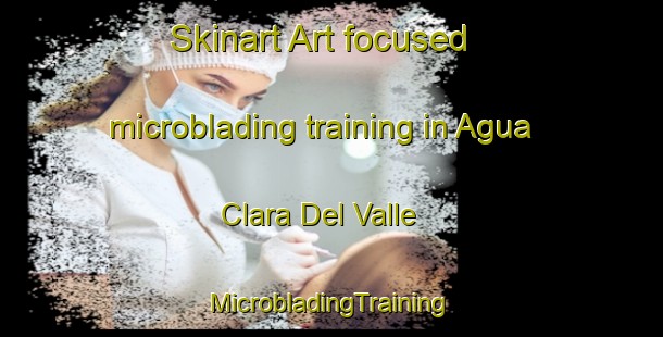 Skinart Art-focused microblading training in Agua Clara Del Valle | #MicrobladingTraining #MicrobladingClasses #SkinartTraining-Mexico