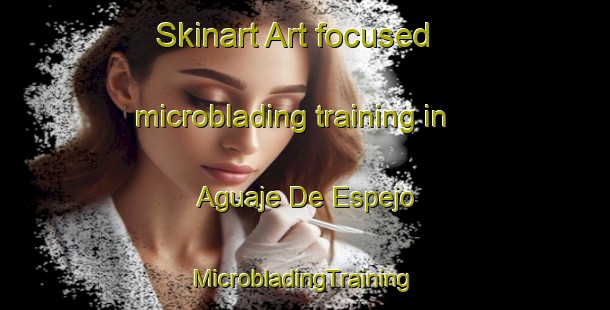 Skinart Art-focused microblading training in Aguaje De Espejo | #MicrobladingTraining #MicrobladingClasses #SkinartTraining-Mexico