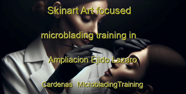 Skinart Art-focused microblading training in Ampliacion Ejido Lazaro Cardenas | #MicrobladingTraining #MicrobladingClasses #SkinartTraining-Mexico