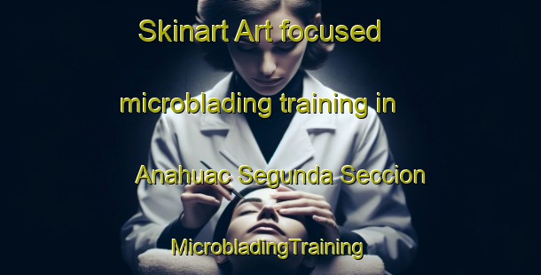 Skinart Art-focused microblading training in Anahuac Segunda Seccion | #MicrobladingTraining #MicrobladingClasses #SkinartTraining-Mexico