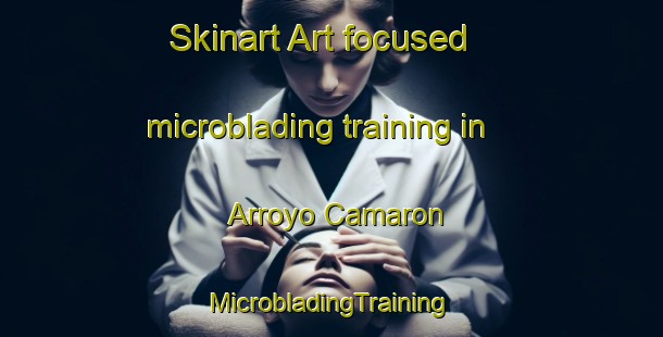 Skinart Art-focused microblading training in Arroyo Camaron | #MicrobladingTraining #MicrobladingClasses #SkinartTraining-Mexico