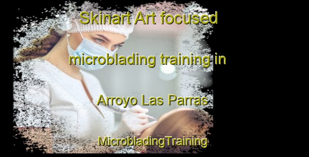 Skinart Art-focused microblading training in Arroyo Las Parras | #MicrobladingTraining #MicrobladingClasses #SkinartTraining-Mexico