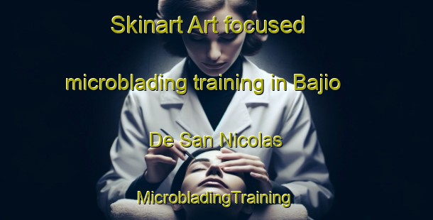 Skinart Art-focused microblading training in Bajio De San Nicolas | #MicrobladingTraining #MicrobladingClasses #SkinartTraining-Mexico