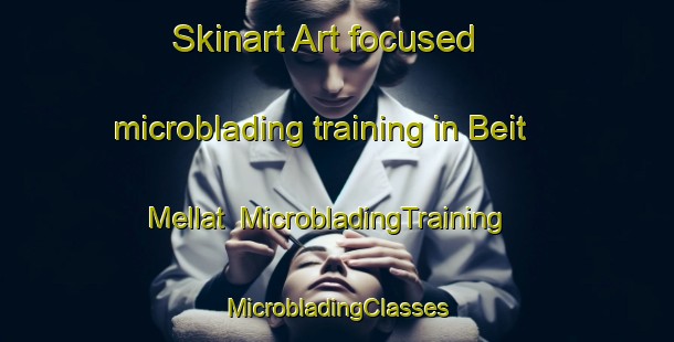 Skinart Art-focused microblading training in Beit Mellat | #MicrobladingTraining #MicrobladingClasses #SkinartTraining-Mexico