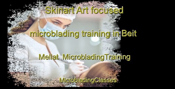 Skinart Art-focused microblading training in Beit Mellat | #MicrobladingTraining #MicrobladingClasses #SkinartTraining-Mexico