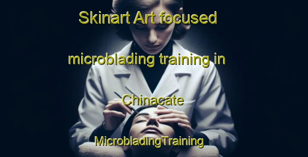 Skinart Art-focused microblading training in Chinacate | MicrobladingTraining | MicrobladingClasses | SkinartTraining-Mexico