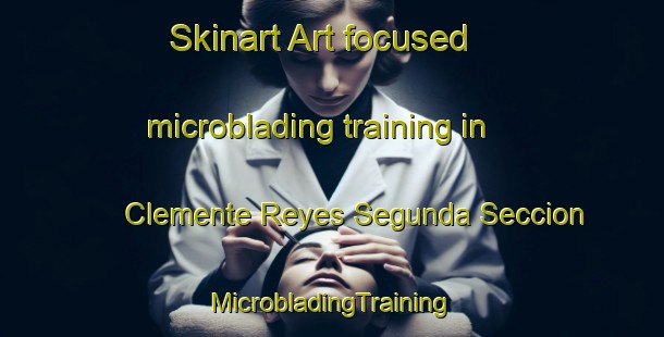 Skinart Art-focused microblading training in Clemente Reyes Segunda Seccion | #MicrobladingTraining #MicrobladingClasses #SkinartTraining-Mexico