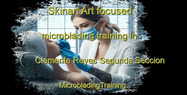 Skinart Art-focused microblading training in Clemente Reyes Segunda Seccion | #MicrobladingTraining #MicrobladingClasses #SkinartTraining-Mexico