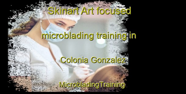 Skinart Art-focused microblading training in Colonia Gonzalez | #MicrobladingTraining #MicrobladingClasses #SkinartTraining-Mexico