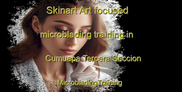 Skinart Art-focused microblading training in Cumuapa Tercera Seccion | #MicrobladingTraining #MicrobladingClasses #SkinartTraining-Mexico