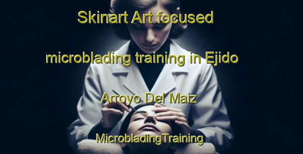 Skinart Art-focused microblading training in Ejido Arroyo Del Maiz | #MicrobladingTraining #MicrobladingClasses #SkinartTraining-Mexico