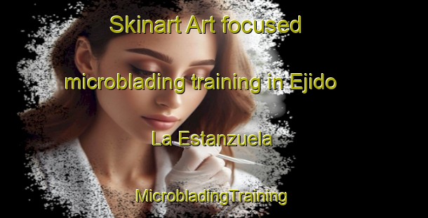 Skinart Art-focused microblading training in Ejido La Estanzuela | #MicrobladingTraining #MicrobladingClasses #SkinartTraining-Mexico