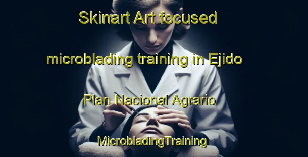 Skinart Art-focused microblading training in Ejido Plan Nacional Agrario | #MicrobladingTraining #MicrobladingClasses #SkinartTraining-Mexico