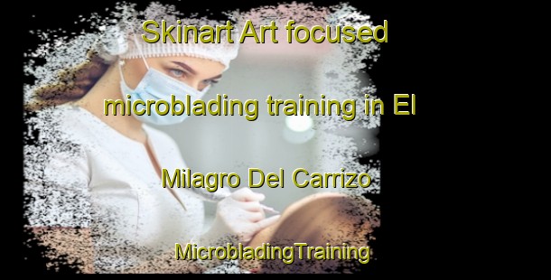 Skinart Art-focused microblading training in El Milagro Del Carrizo | #MicrobladingTraining #MicrobladingClasses #SkinartTraining-Mexico