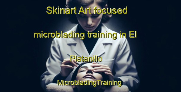 Skinart Art-focused microblading training in El Platanillo | #MicrobladingTraining #MicrobladingClasses #SkinartTraining-Mexico