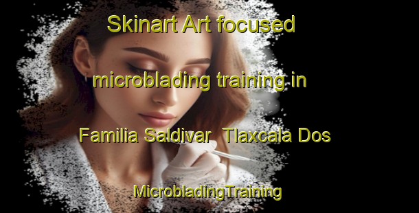 Skinart Art-focused microblading training in Familia Saldivar  Tlaxcala Dos | #MicrobladingTraining #MicrobladingClasses #SkinartTraining-Mexico